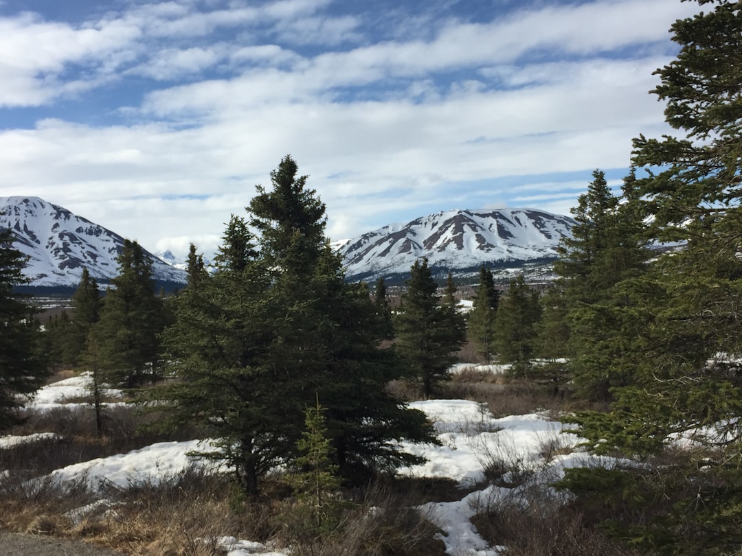 How to Get a Passport in Adak, AK: Remote Aleutian Guide
