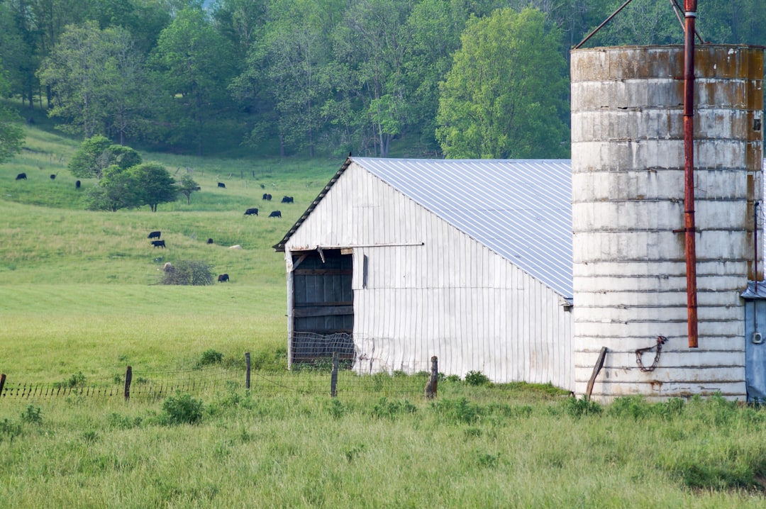 How to Get a Passport in Amherstdale WV: Steps & Facilities