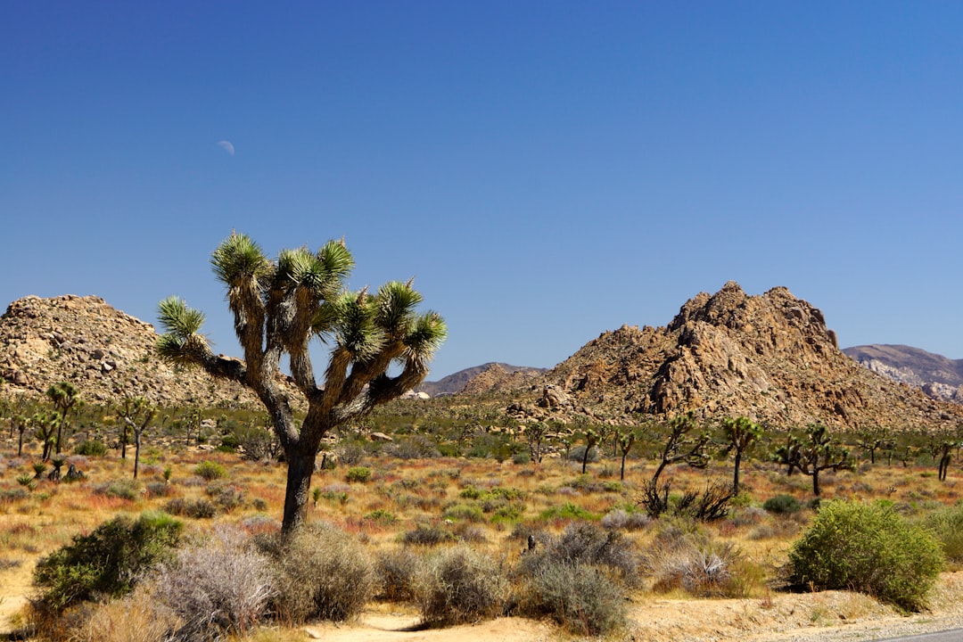 How to Get a Passport in Anza, CA: Facilities, Forms & Tips