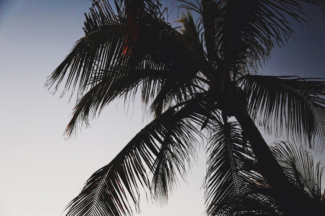 How to Get a Passport in Bee Ridge, FL: Step-by-Step Guide