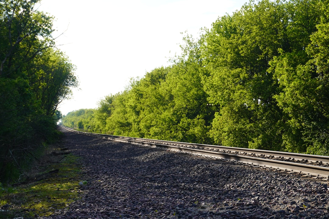 How to Get a Passport in Benton, IL: Facilities, Forms & Tips