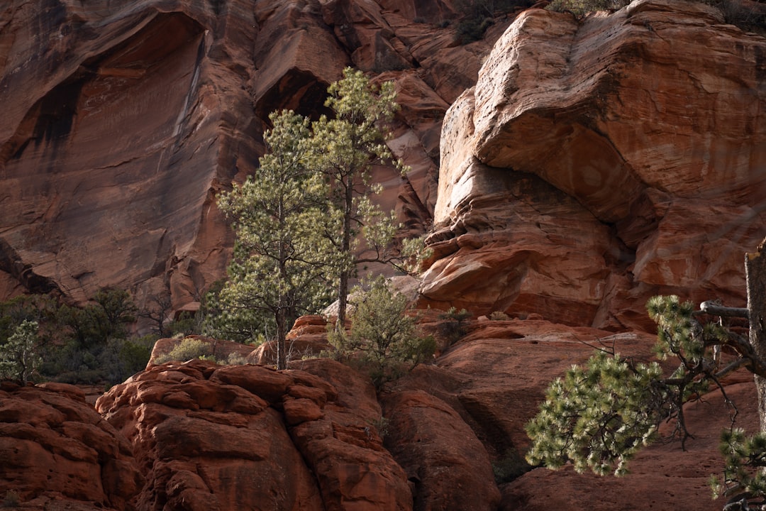 How to Get a Passport in Bicknell, UT: Steps & Locations