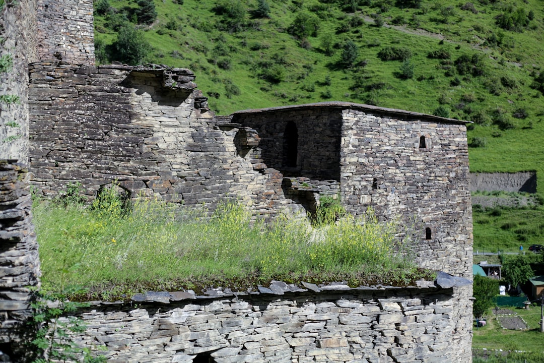 How to Get a Passport in Bowersville, GA: Step-by-Step Guide