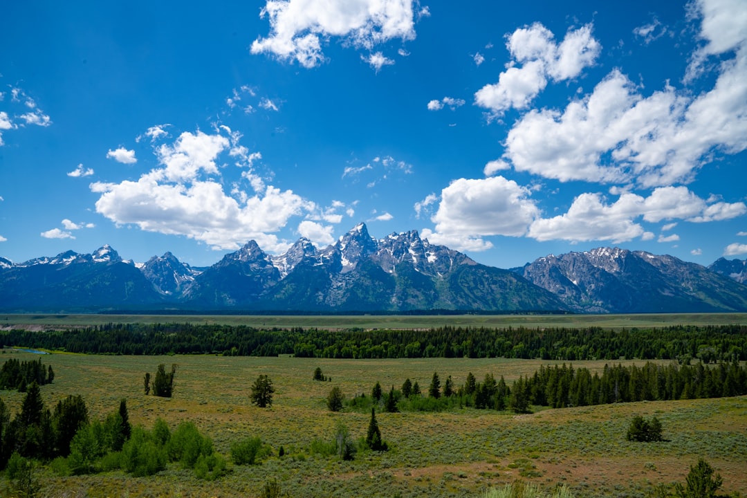 How to Get a Passport in Brookhurst, WY: Step-by-Step Guide