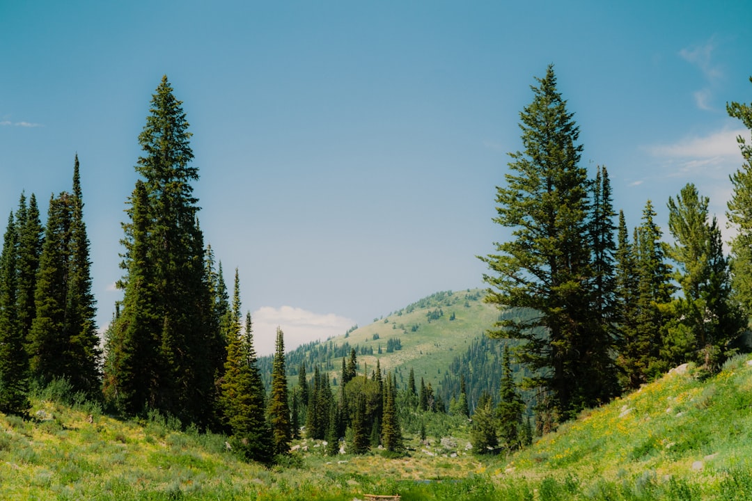 How to Get a Passport in Butte City, ID: Rural Guide & Checklists