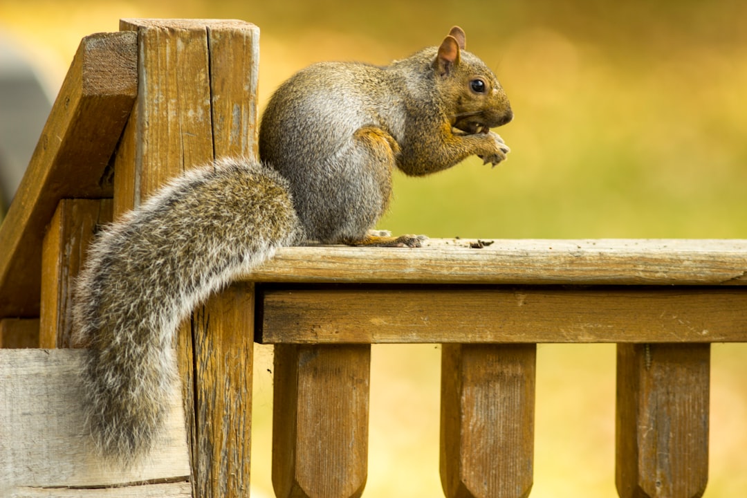 How to Get a Passport in Byron, MN: Step-by-Step Guide