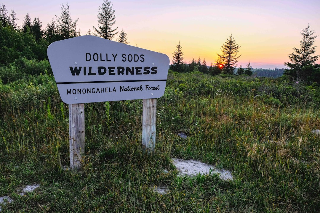 How to Get a Passport in Chelyan, WV: DS-11 & DS-82 Guide
