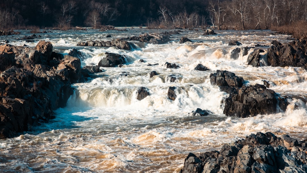 How to Get a Passport in Cliftondale Park, VA: Full Guide