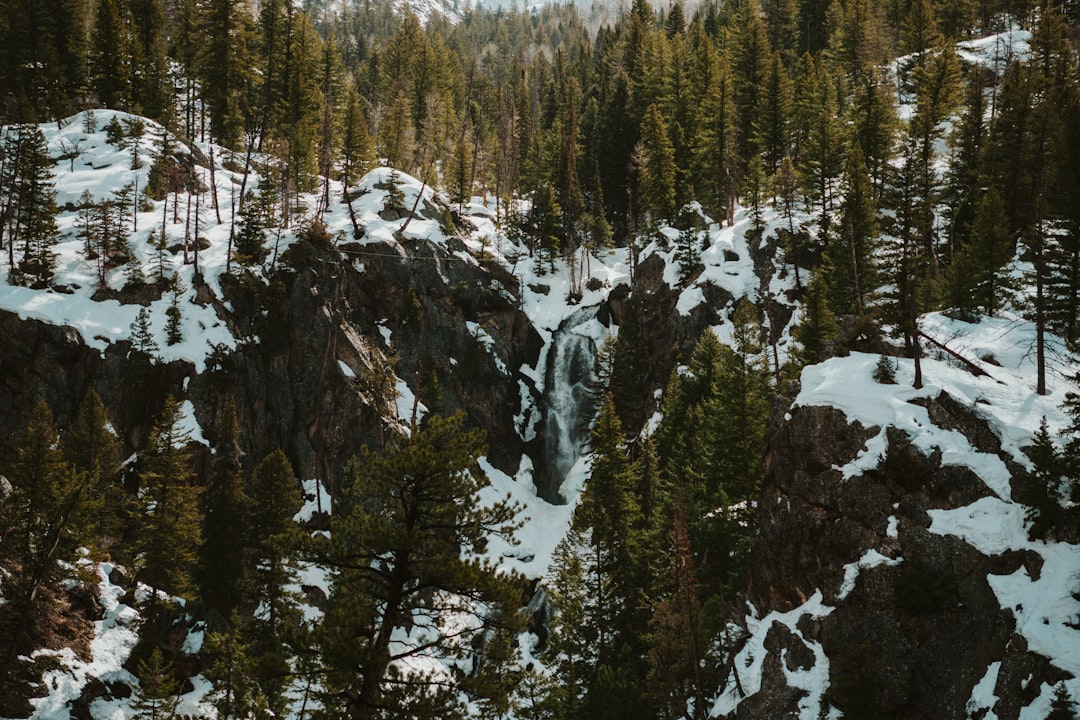 How to Get a Passport in Colorado City, CO: Step-by-Step Guide