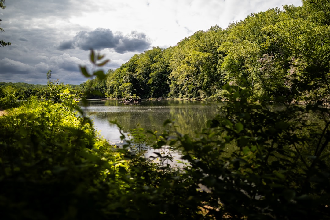 How to Get a Passport in Craigsville, VA: Step-by-Step Guide