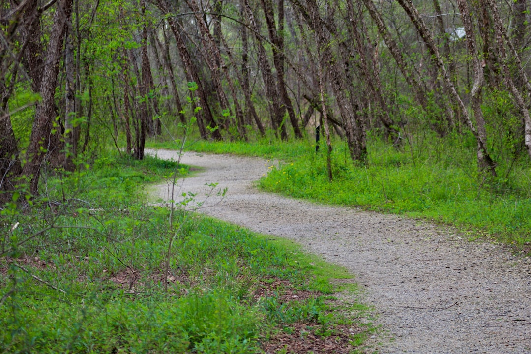 How to Get a Passport in Delco, NC: Steps & Facilities