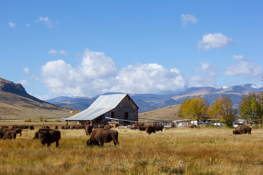 How to Get a Passport in Divide, CO: Step-by-Step Guide