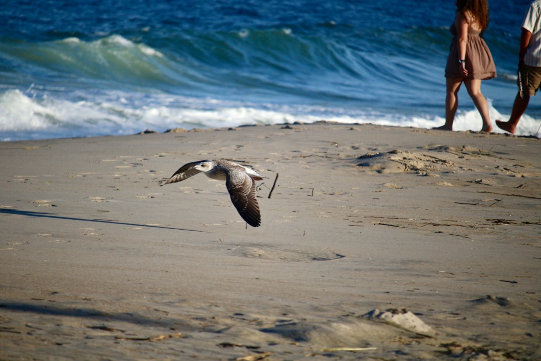 How to Get a Passport in Dover, DE: Step-by-Step Guide