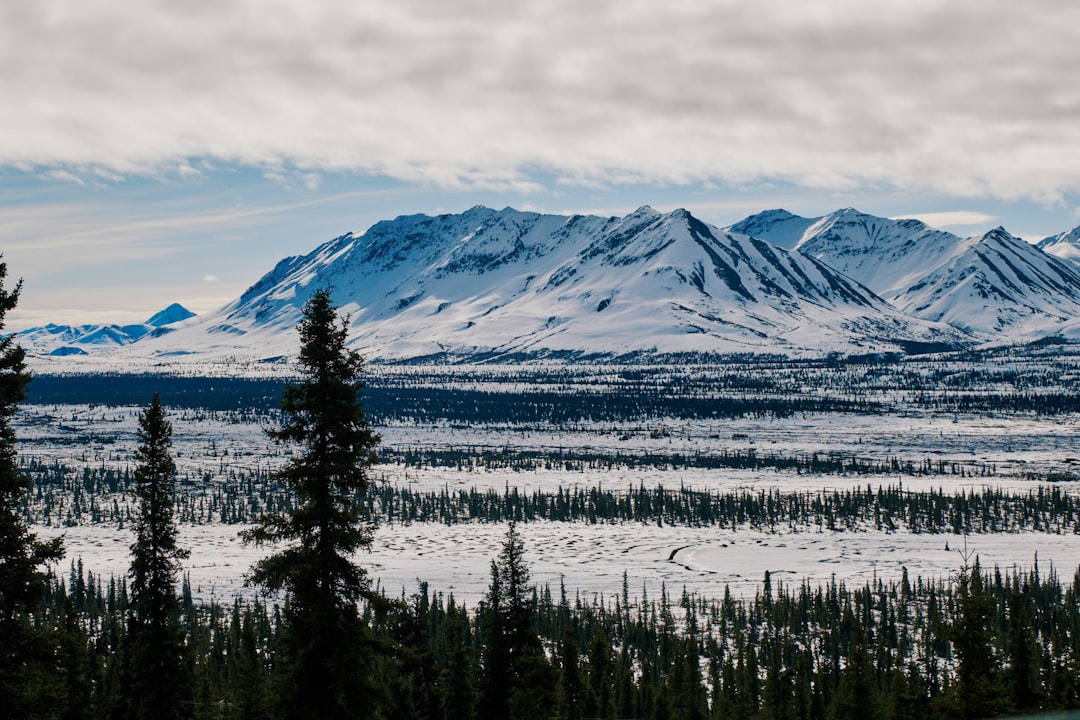 How to Get a Passport in Eagle, AK: Remote Resident Guide