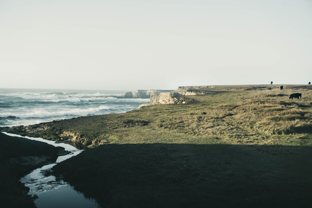 How to Get a Passport in Easton, CA: Facilities & Steps