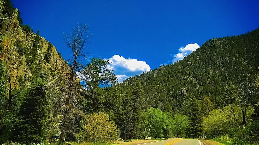 How to Get a Passport in Folsom, NM: Step-by-Step Guide