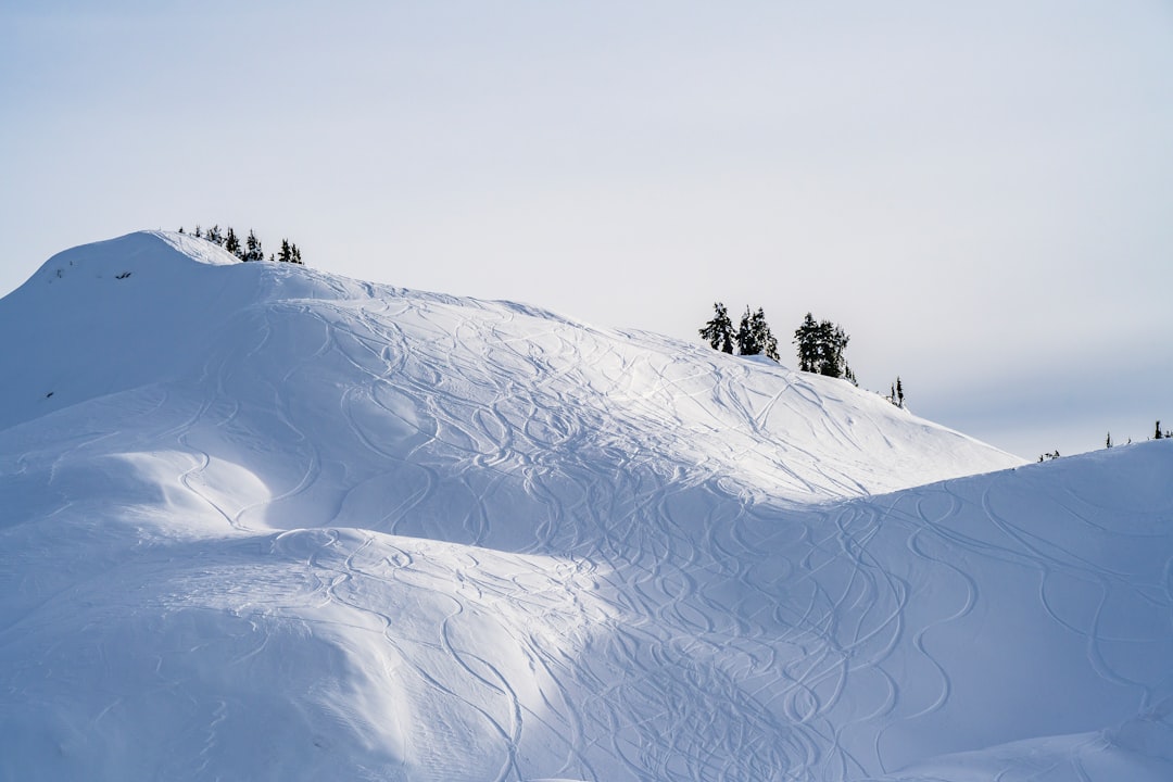 How to Get a Passport in Fords Prairie, WA: Full Guide