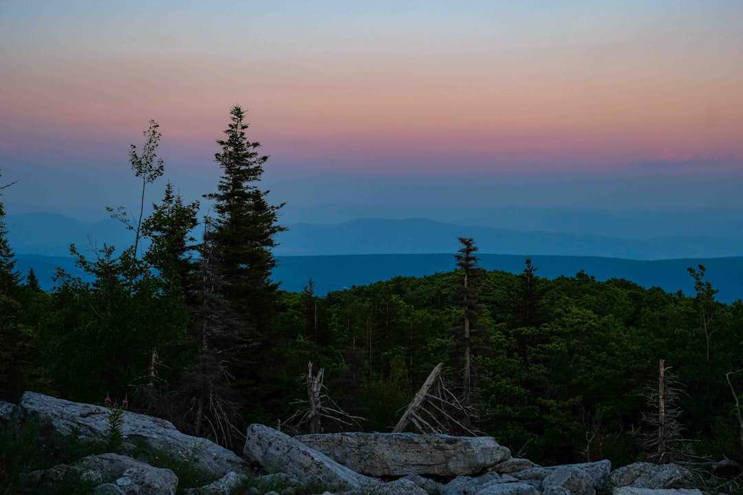 How to Get a Passport in Galloway, WV: Barbour County Guide