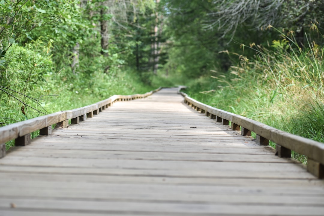 How to Get a Passport in Glenbeulah, WI: Facilities & Steps