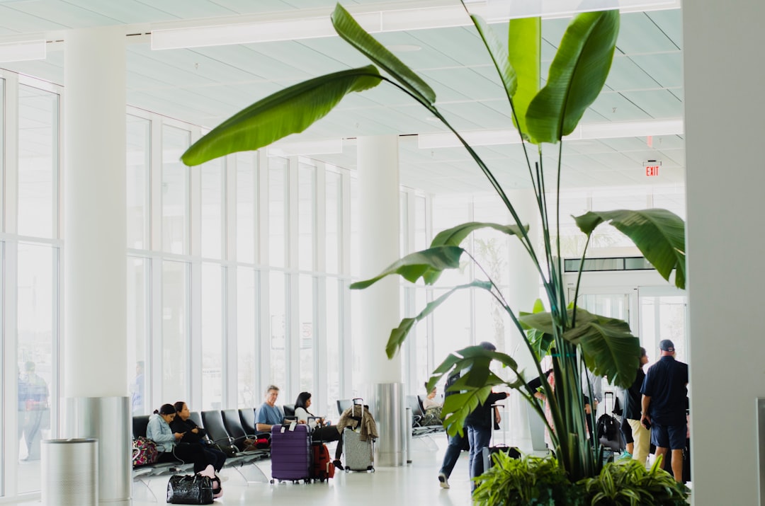 How to Get a Passport in Glendale, SC: First-Time & Renewal Guide
