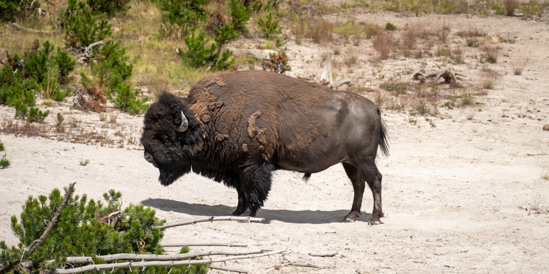 How to Get a Passport in Glendo, WY: Step-by-Step Guide
