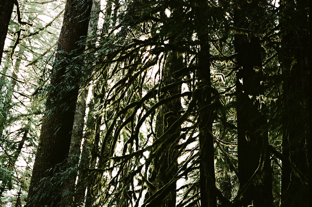 How to Get a Passport in Gold Beach, OR: Facilities & Guide