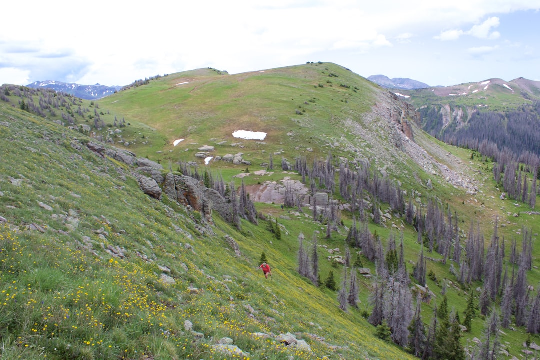 How to Get a Passport in Grand Lake, CO: RMNP Visitor Guide