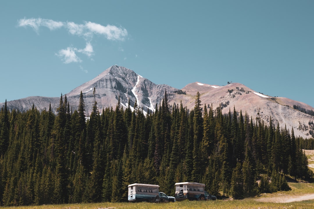 How to Get a Passport in Hogeland, MT: Steps & Facilities