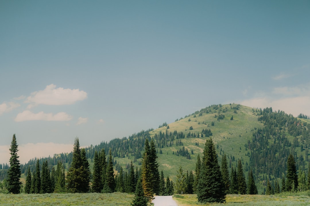 How to Get a Passport in Homedale, ID: Steps & Facilities