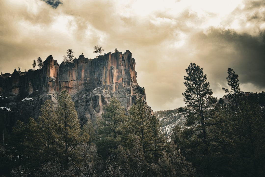 How to Get a Passport in Hope, NM: Steps & Local Facilities