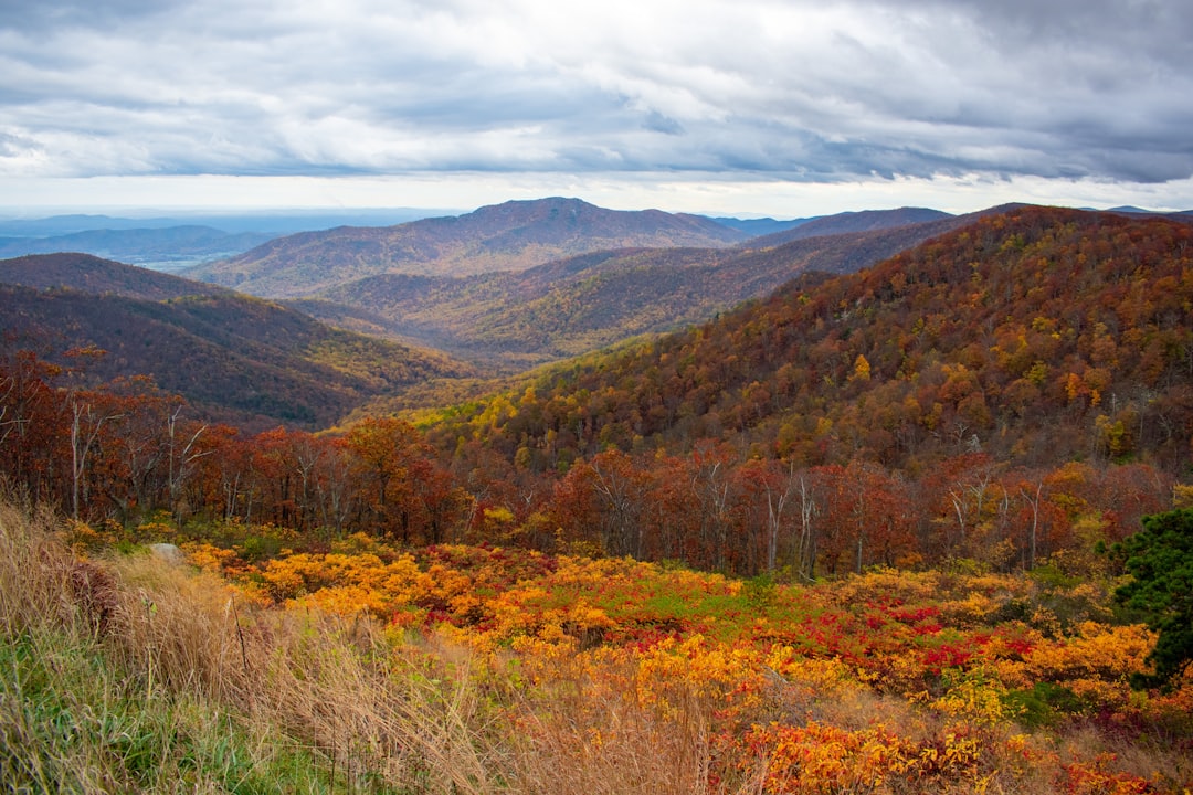 How to Get a Passport in Horntown, VA: Facilities, Steps & Tips