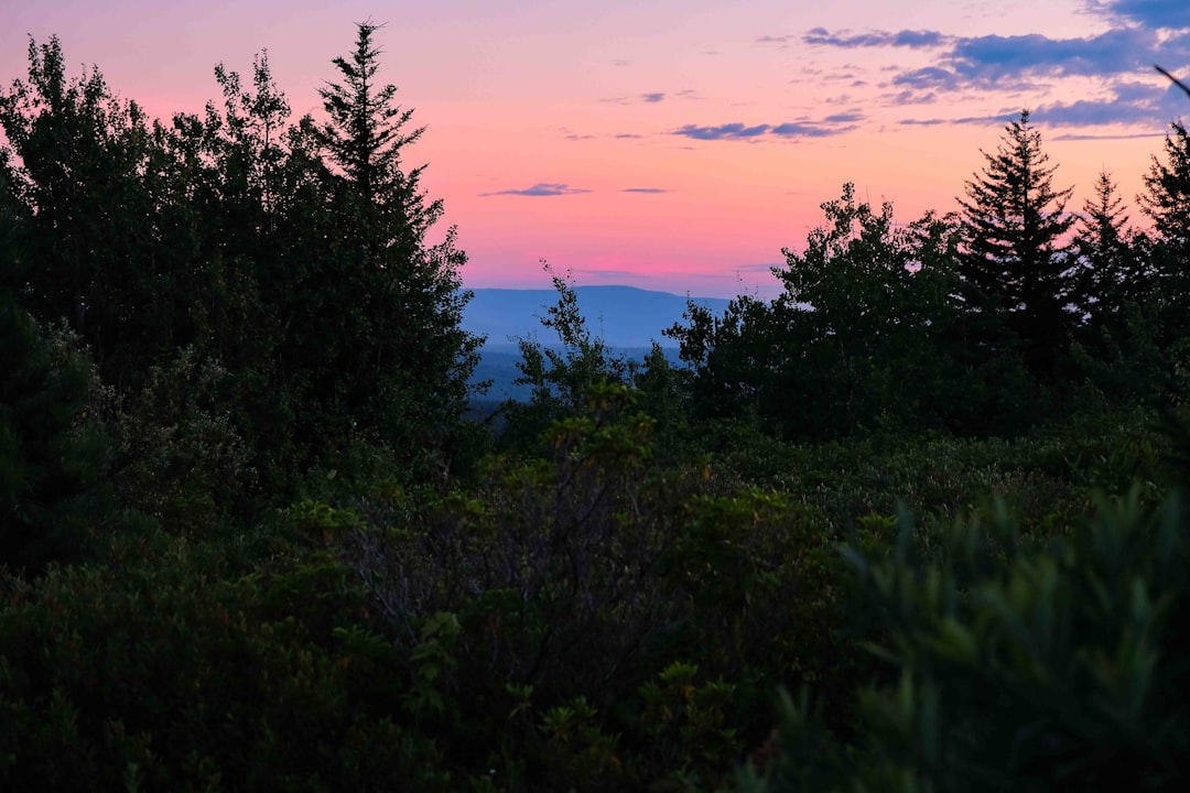 How to Get a Passport in Huttonsville, WV: Complete Guide