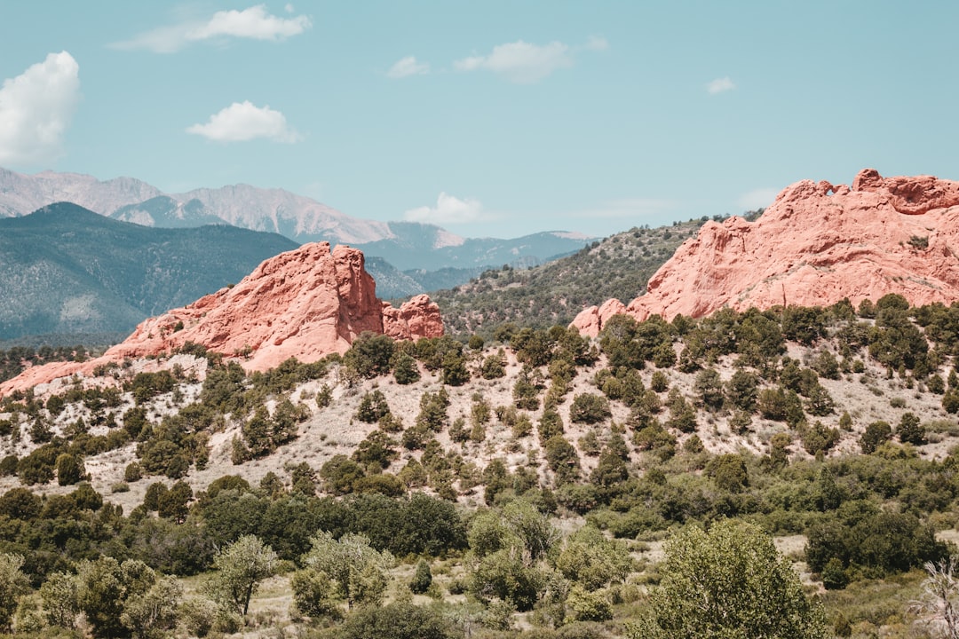 How to Get a Passport in Joes, CO: Guide for First-Time, Renewals