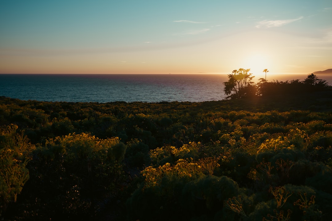 How to Get a Passport in Kelseyville, CA: Step-by-Step Guide