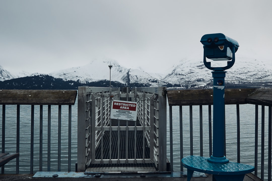 How to Get a Passport in Kwigillingok, AK: Step-by-Step