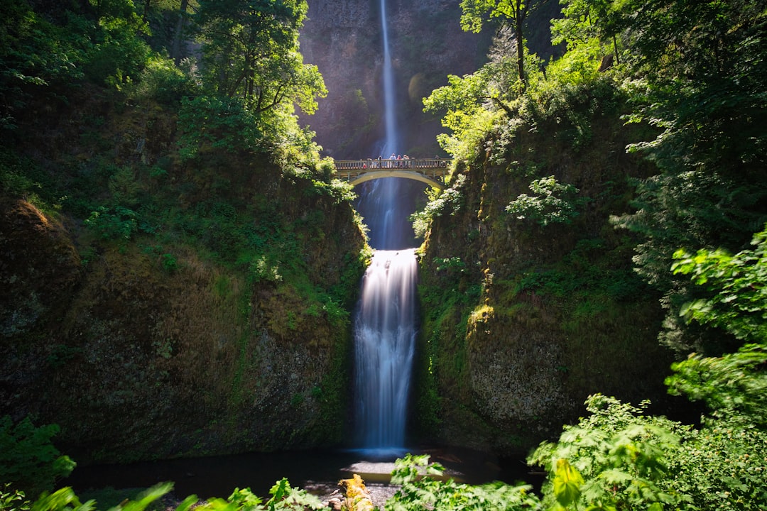 How to Get a Passport in Langlois, Oregon: Full Guide