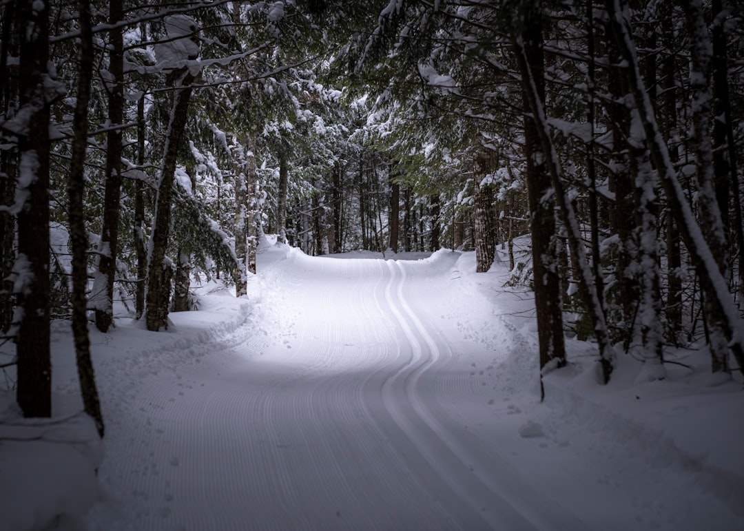 How to Get a Passport in Le Roy, MI: Steps, Facilities, Forms