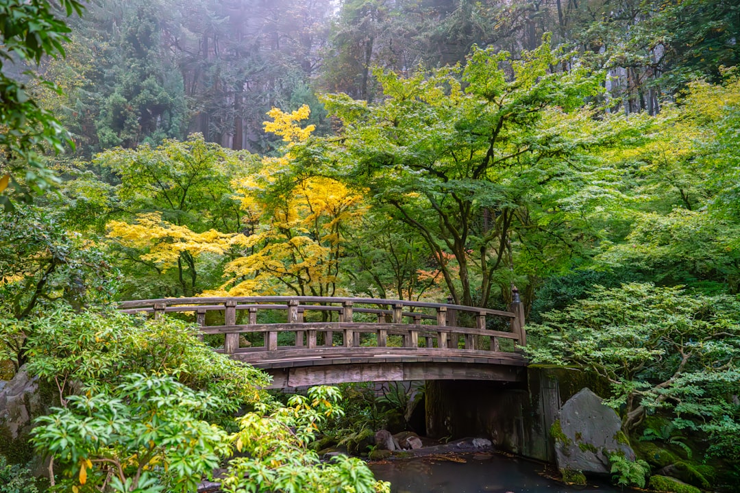 How to Get a Passport in Lebanon, Oregon: Facilities, Forms & Tips