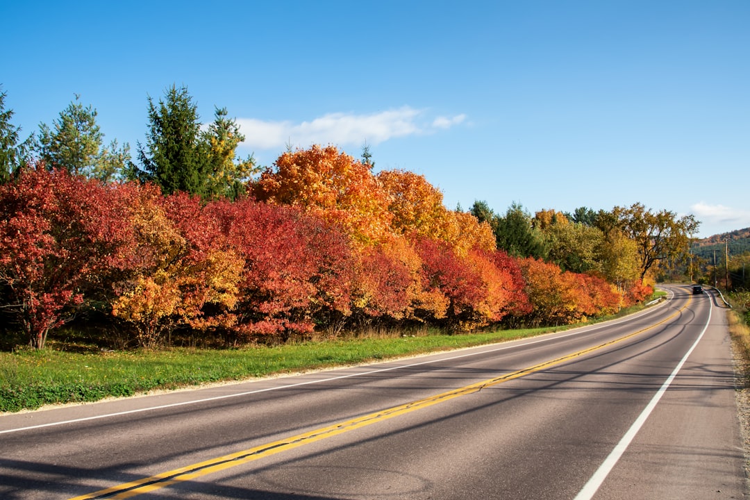 How to Get a Passport in Lincoln, VT: Local Facilities & Steps