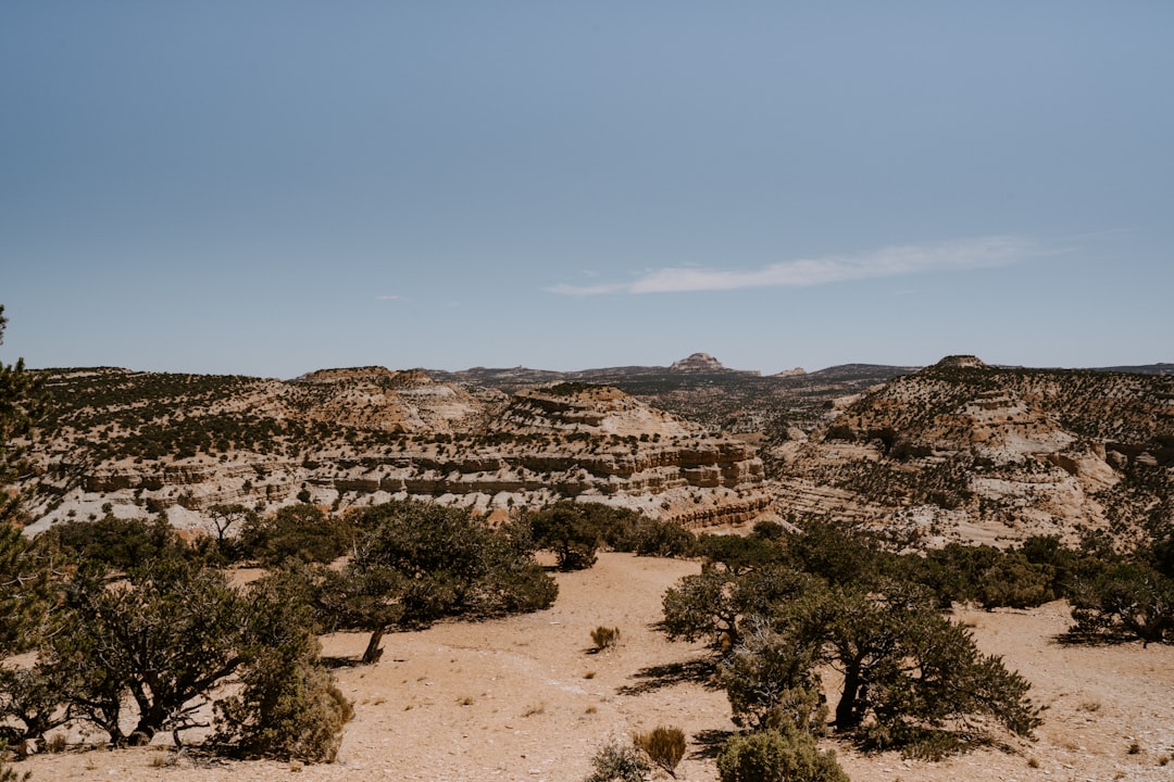 How to Get a Passport in Littlefield, AZ: Step-by-Step Guide