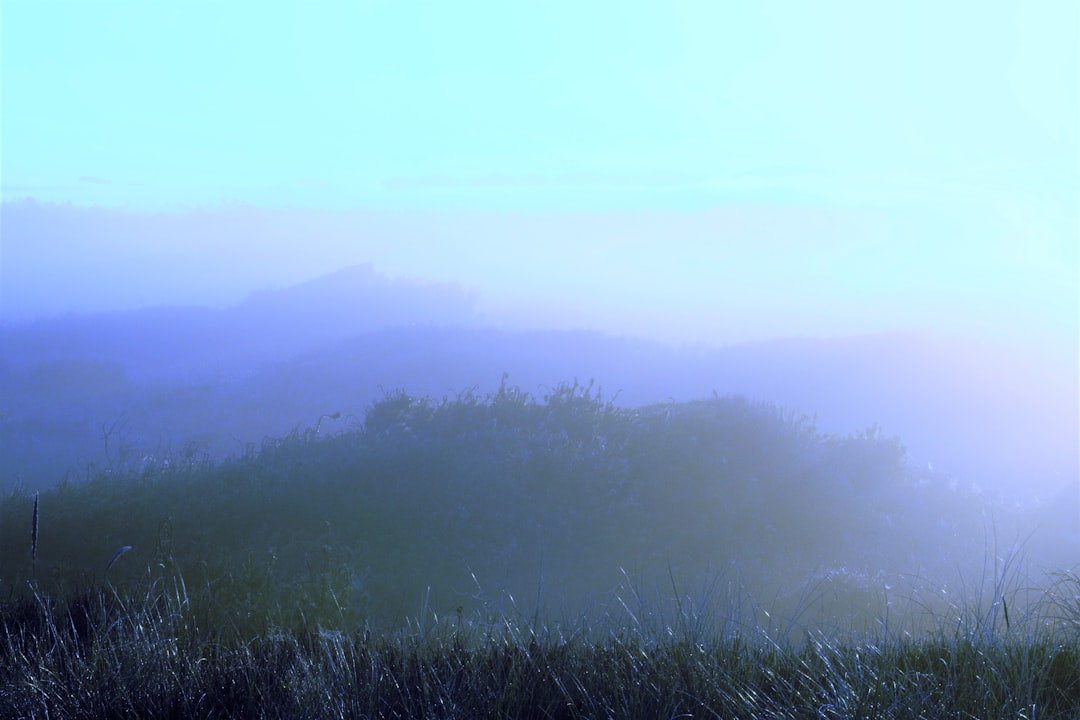 How to Get a Passport in Manzanita, OR: Facilities & Tips