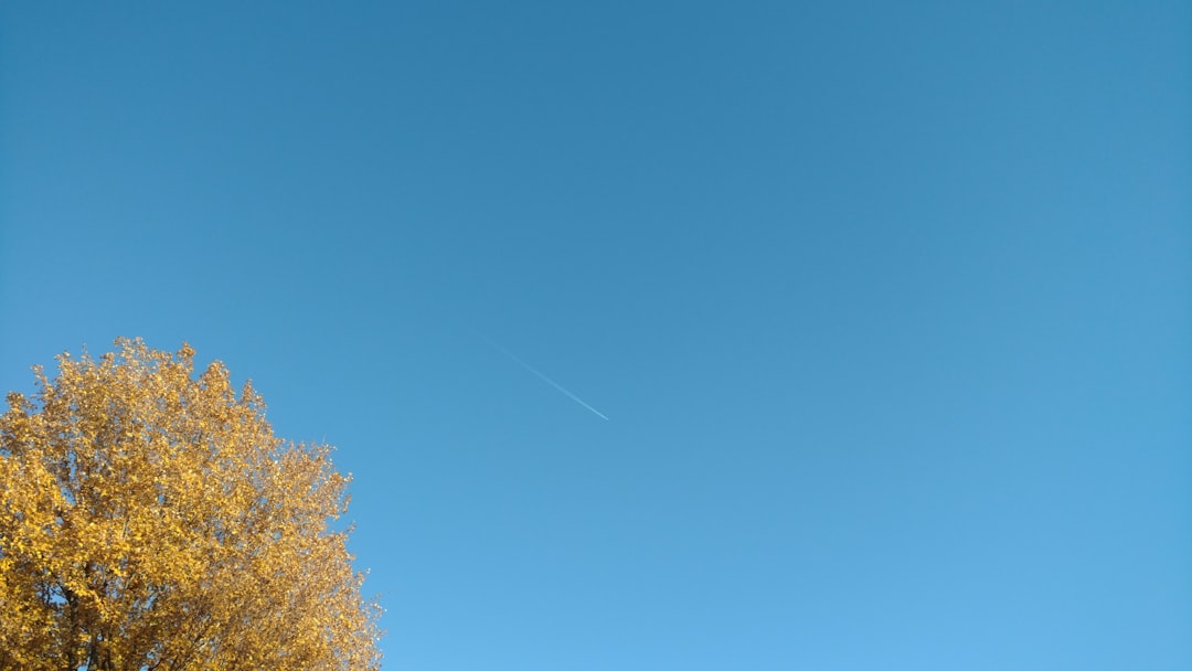 How to Get a Passport in Monterey, TN: Step-by-Step Guide