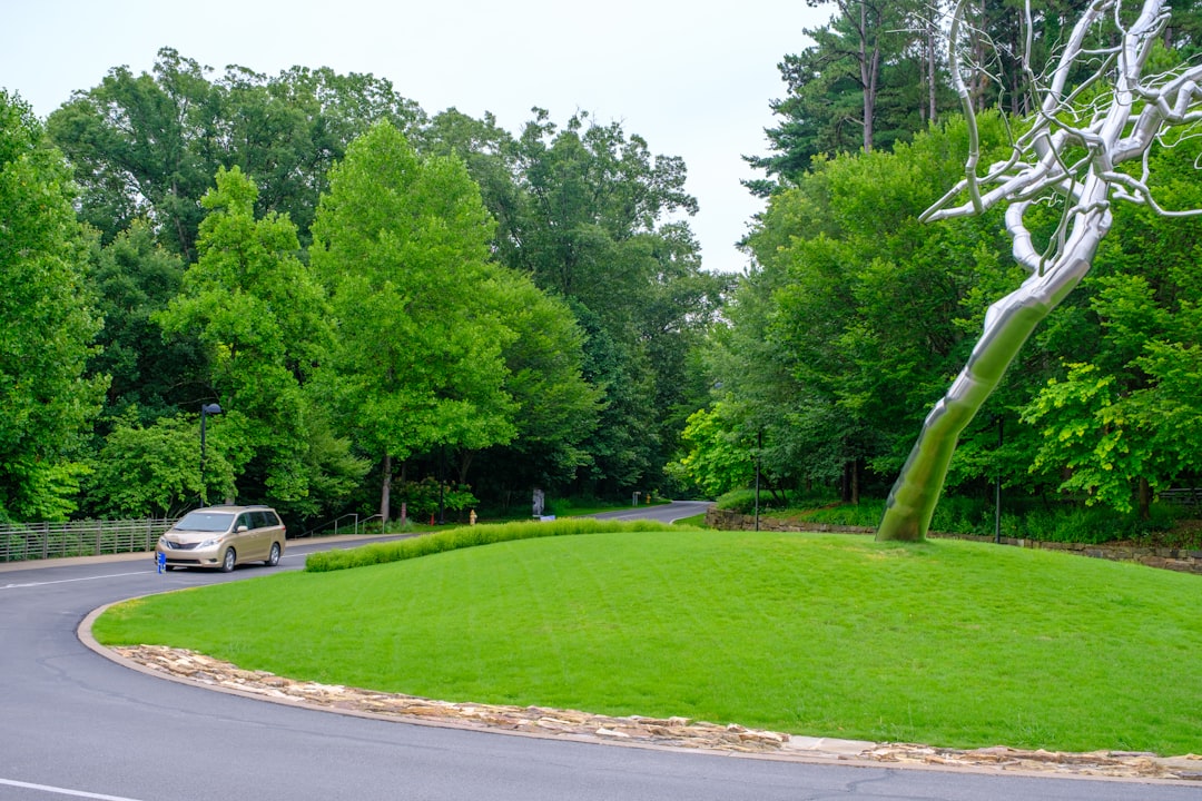 How to Get a Passport in Mountainburg, AR: Facilities & Steps