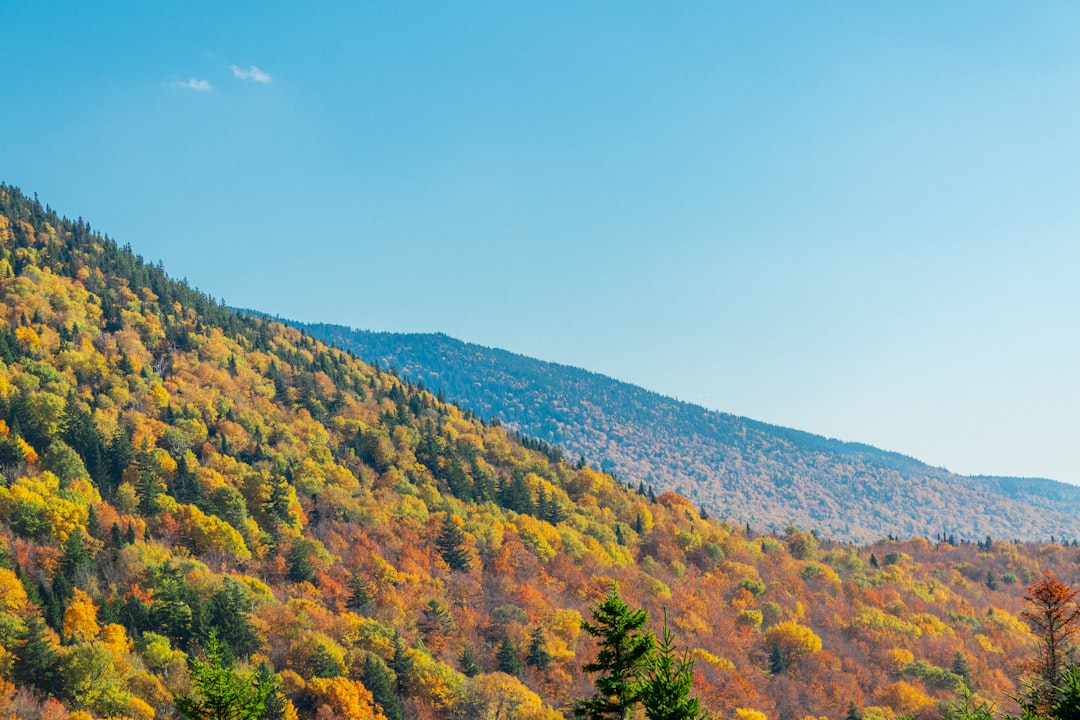 How to Get a Passport in New Haven, VT: Step-by-Step Guide