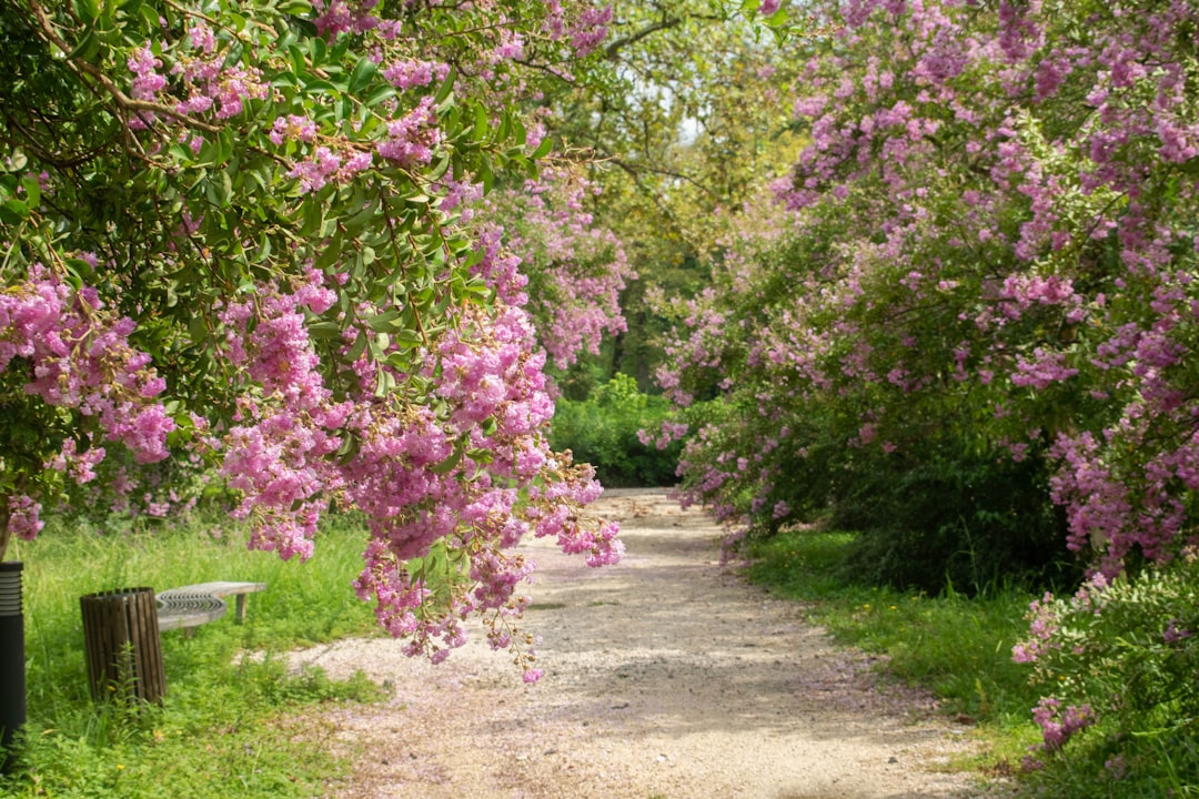 How to Get a Passport in Nunez, GA: Steps & Facilities