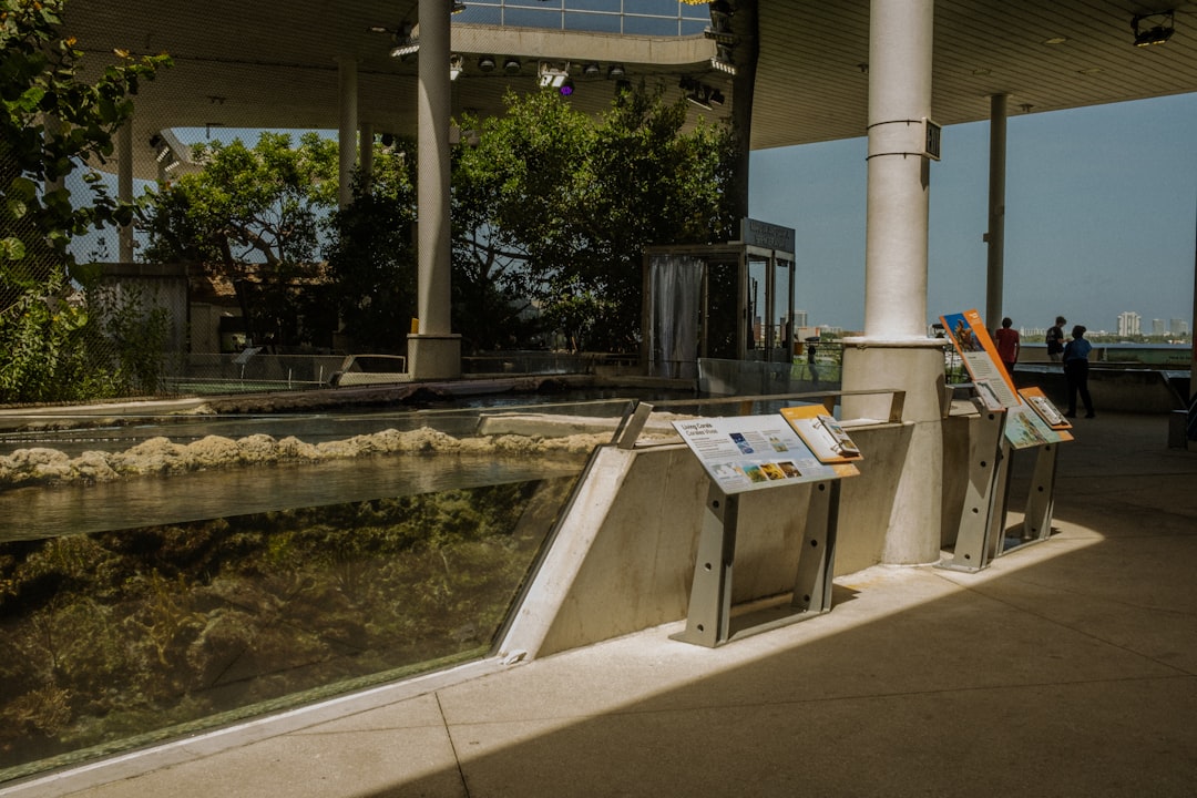 How to Get a Passport in Orange City, FL: Full Guide