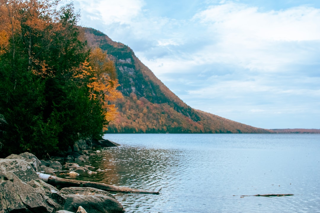 How to Get a Passport in Orleans, VT: Step-by-Step Guide