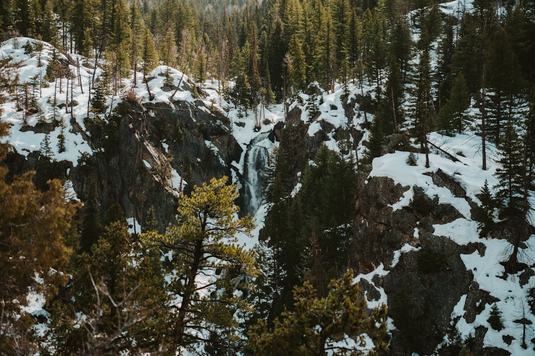 How to Get a Passport in Piedra, CO: Steps & Facilities