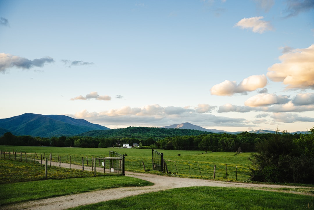 How to Get a Passport in Quicksburg, VA: Local Facilities & Steps