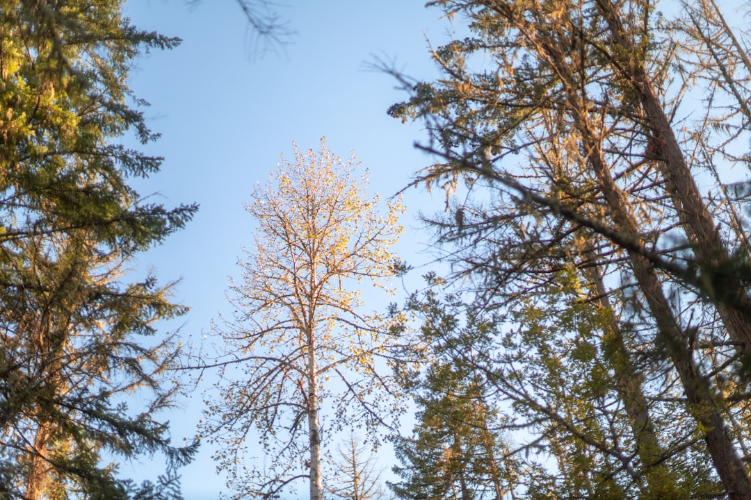 How to Get a Passport in Raleigh Hills, OR: Full Guide